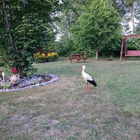 Agroturystyka I Domki Zacisze Jarosławiec Buitenkant foto